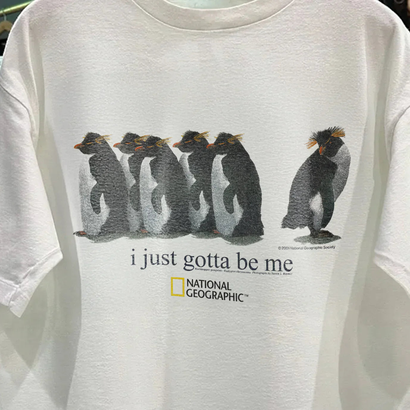 2001 'I JUST GOTTA BE ME' ROCKHOPPER NAT GEO RARE WASHED WHITE T-SHIRT